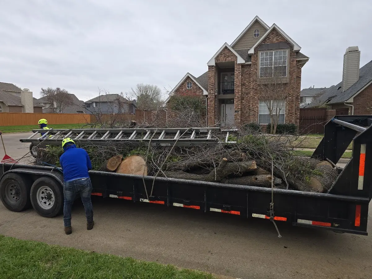 Expert Lot Clearing with proper safety equipment in Bridgewater